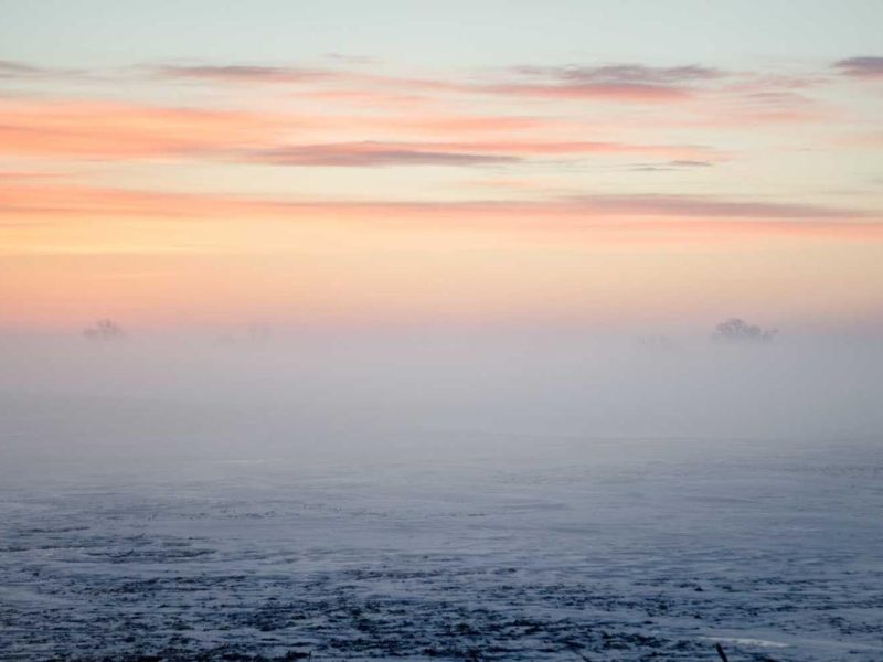 Cubilia malesuada commodo sollicitudin volutpat augue lacus hac sed